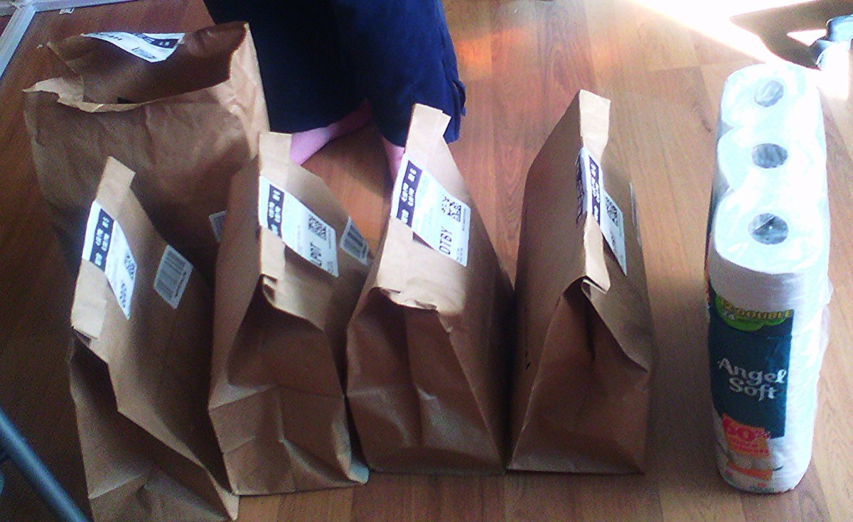 Five labeled paper grocery bags and a pack of paper towels from an Amazon delivery on a wooden floor